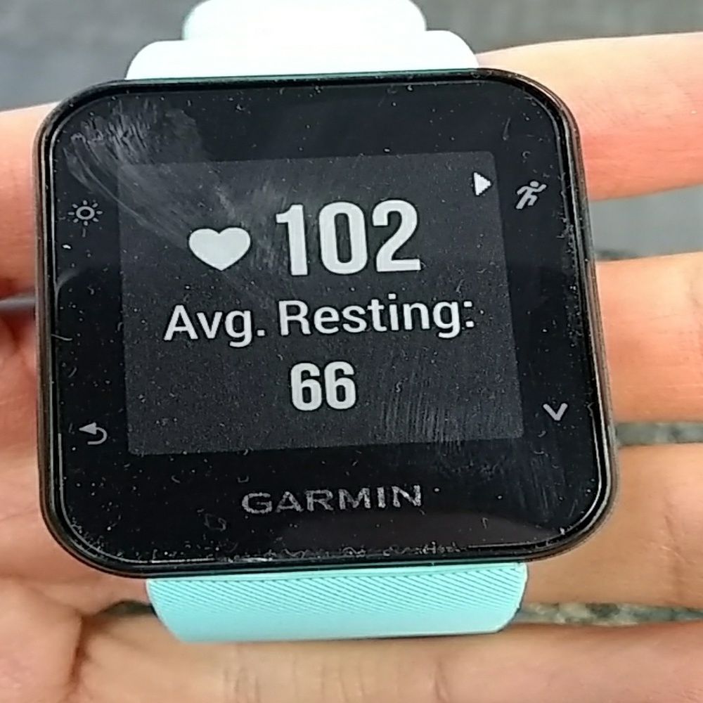 Garmin GPS watch